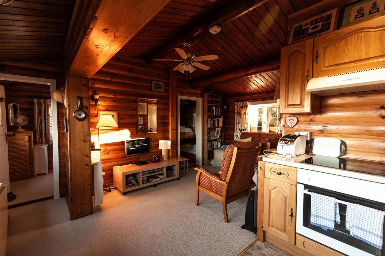 Rustic Log Cabin In Snowdonia By Seren Short Stays Trawsfynydd Exteriér fotografie