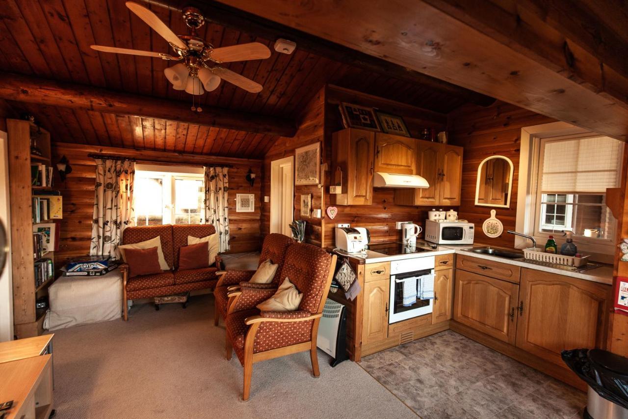 Rustic Log Cabin In Snowdonia By Seren Short Stays Trawsfynydd Exteriér fotografie
