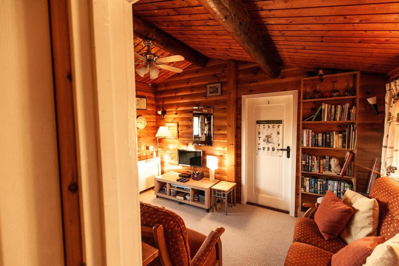 Rustic Log Cabin In Snowdonia By Seren Short Stays Trawsfynydd Exteriér fotografie
